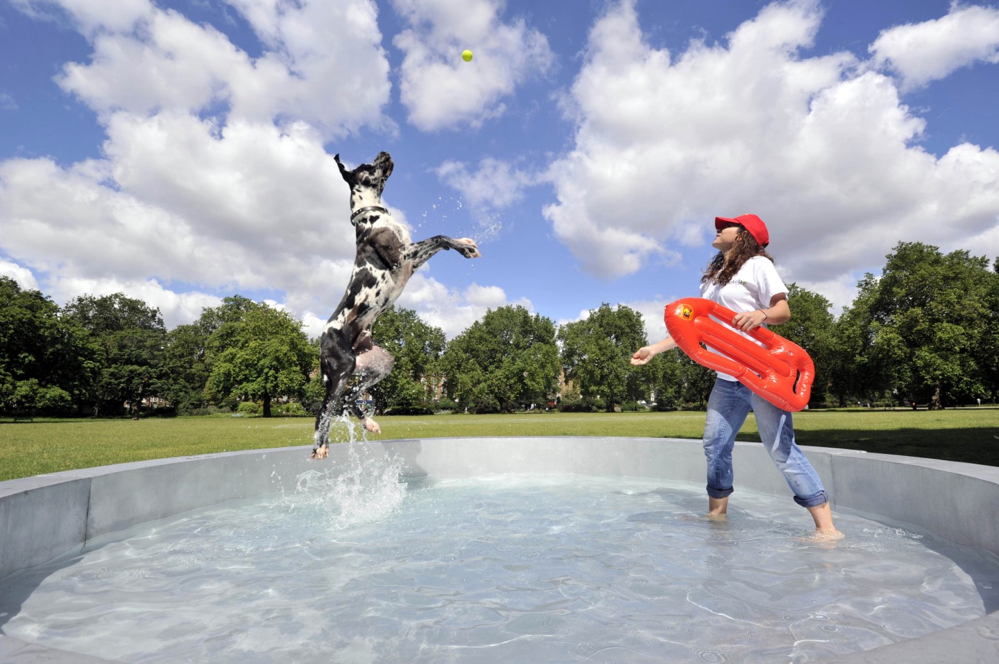 Ocado’s pet store ‘Fetch.co.uk’ launches giant super bowl BusinessMole