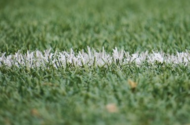 fantasy football
