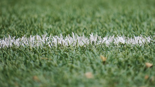 fantasy football