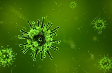 Measles