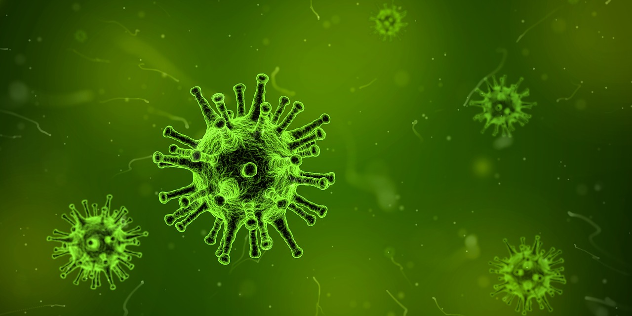 Measles