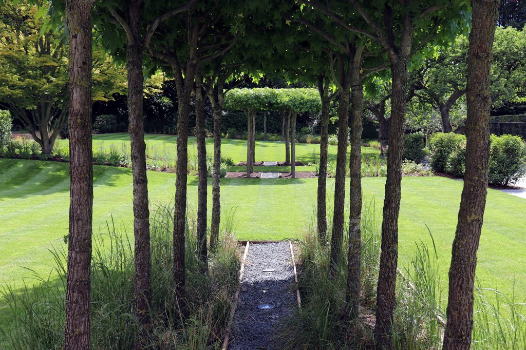 Kings Landscapes