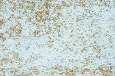 dust extraction