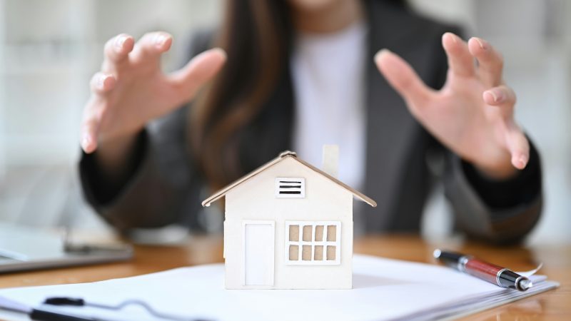Landlords