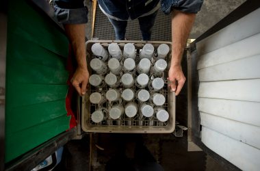 Industrial Dishwashers