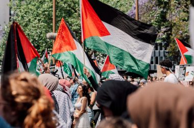 a large group of people holding flags in the street