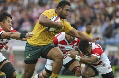 Wallabies v Japan